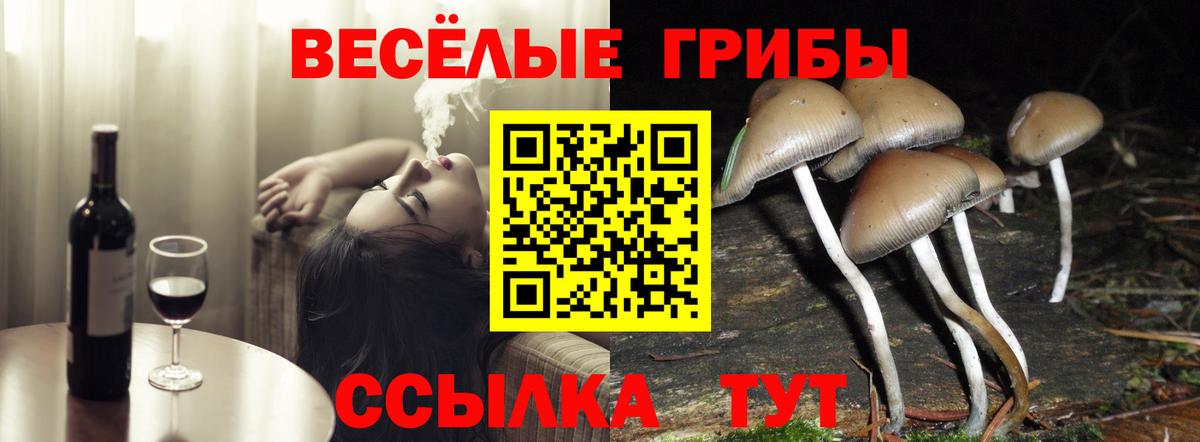 Галлюциногенные грибы прущие грибы Полысаево