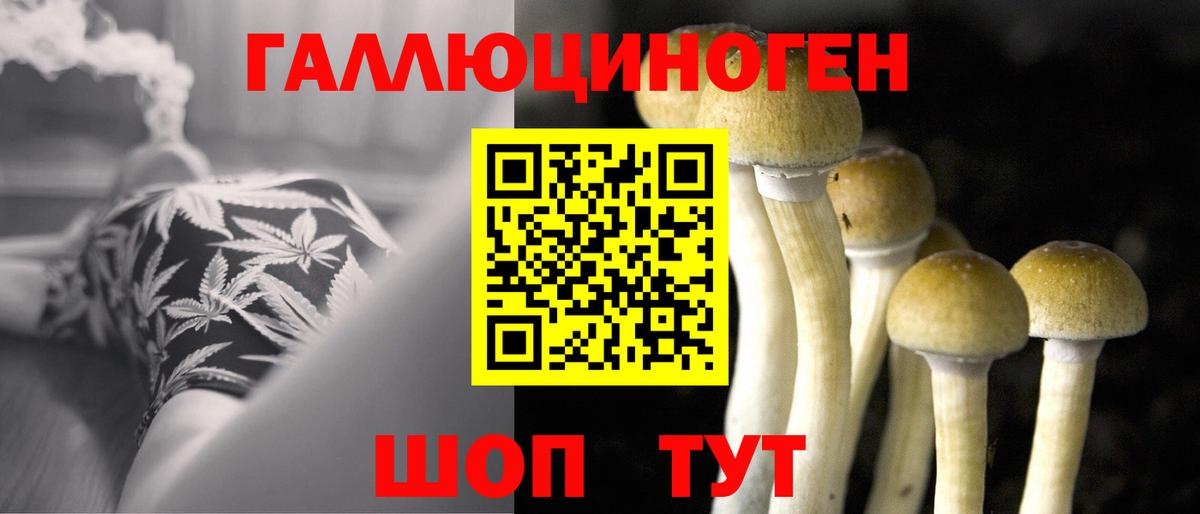 Полысаево  Галлюциногенные грибы Cubensis  Вход с VPN 